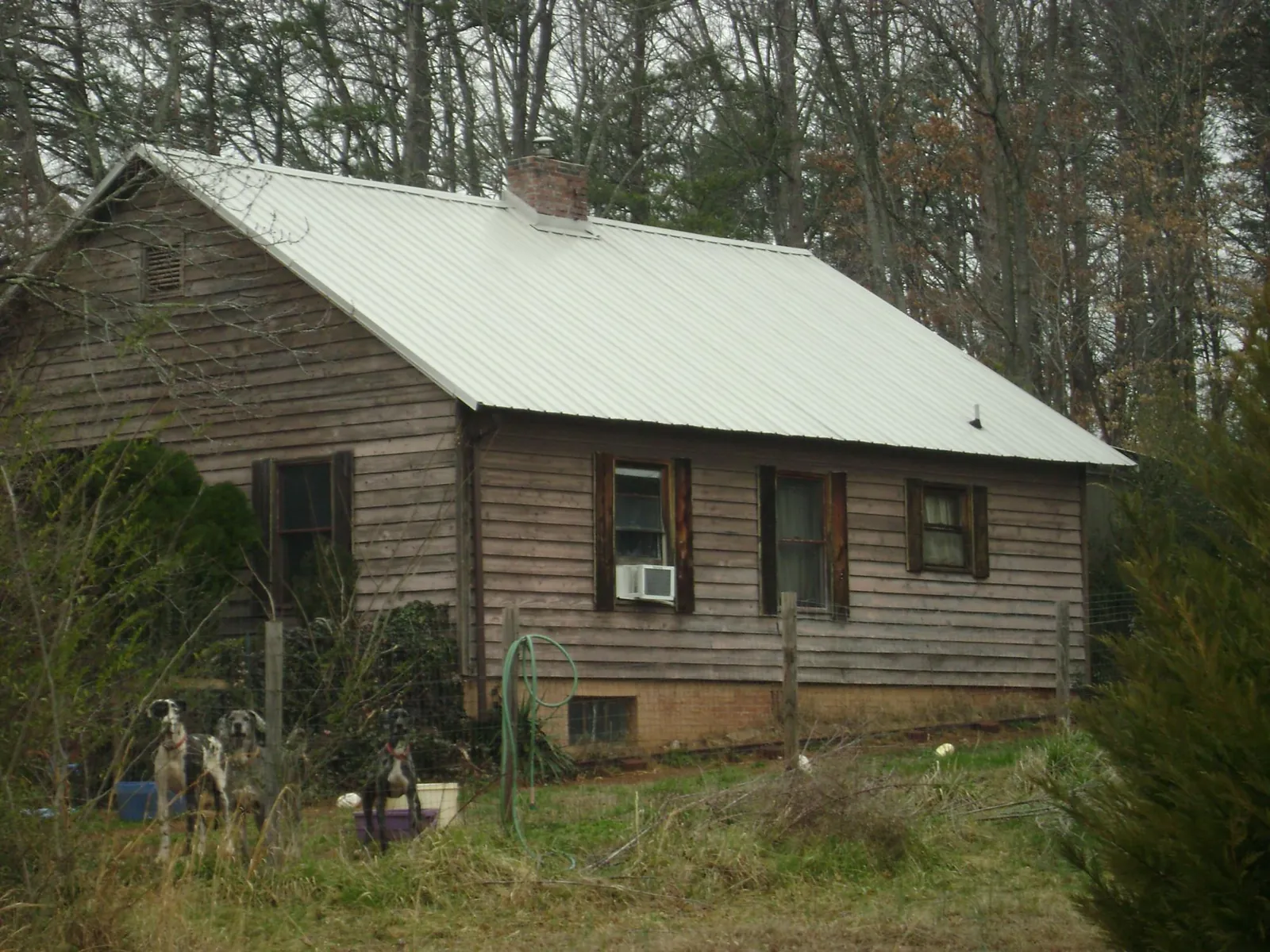 White metal roof on an old wood sided farmhouse, from a Asphalt Shingle Roof Repair job in Hungry Horse